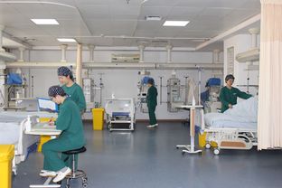 我們的icu 我們的家